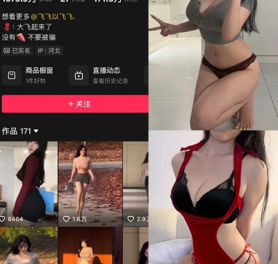 大飞起来了微密圈付费资源照片视频合集【持续更新中】